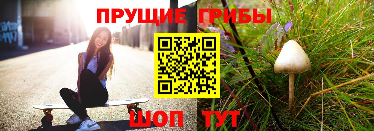Псилоцибиновые грибы GOLDEN TEACHER Прокопьевск